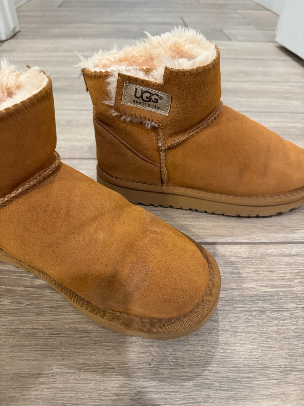 UGG Women’s Short Suede Boot in Chestnut Tan